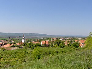 Vojvodina – Travel guide at Wikivoyage