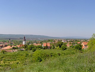 <span class="mw-page-title-main">Titel</span> Town and municipality in Vojvodina, Serbia