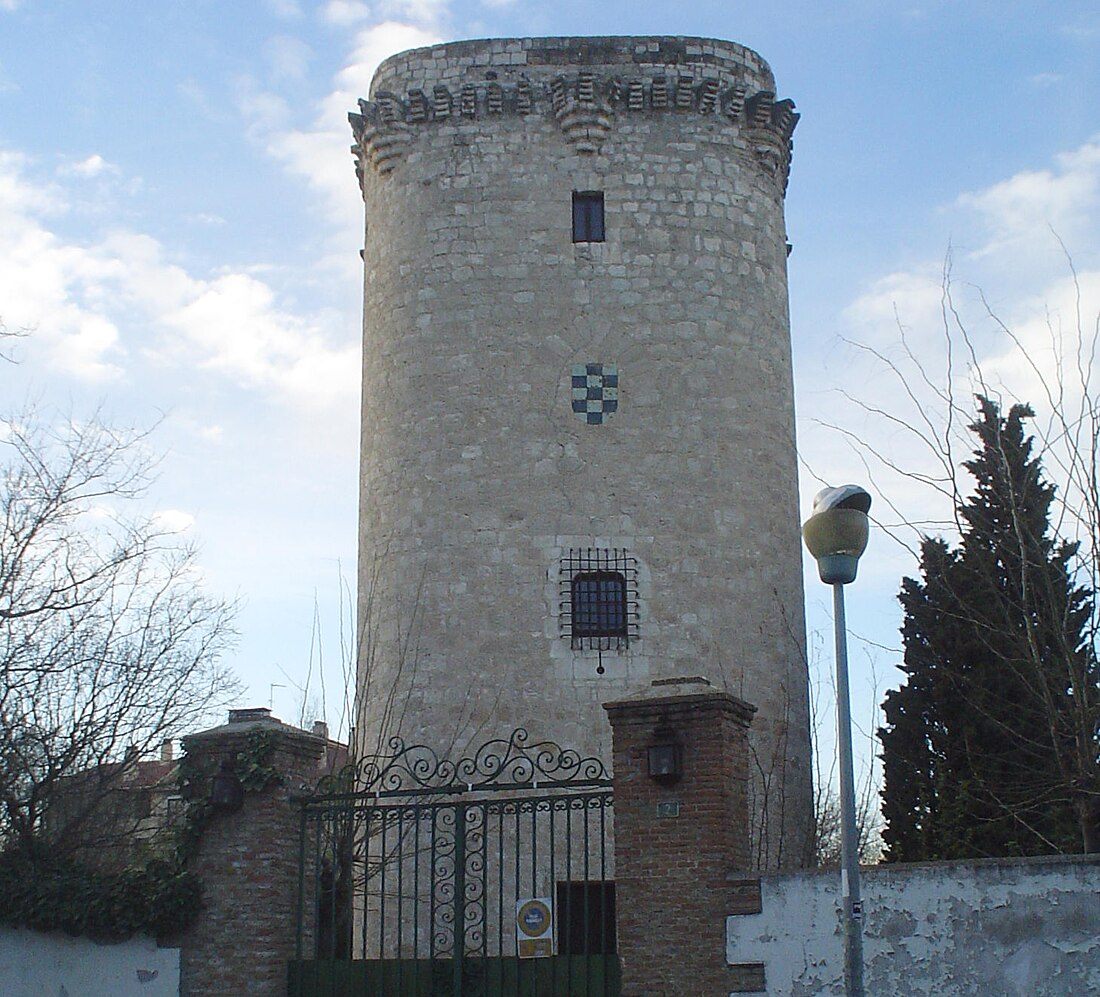 Torreón de Pinto