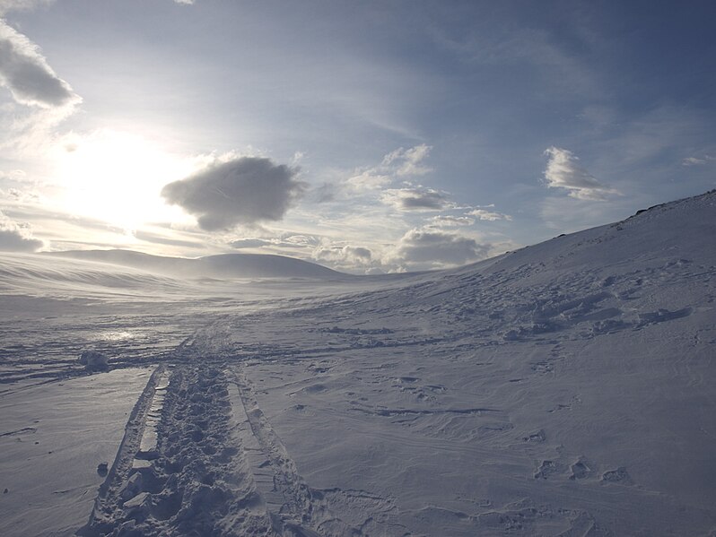 File:Tracks in Snow Sarek.jpg