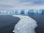 Trail of pieces that fell off during calving Giant Iceberg Coral Princess Antarctica.jpg