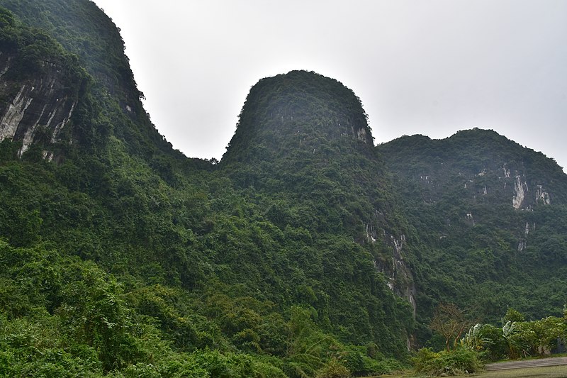 File:Trang An Scenic Landscape Complex, northern Vietnam (349) (37825146734).jpg