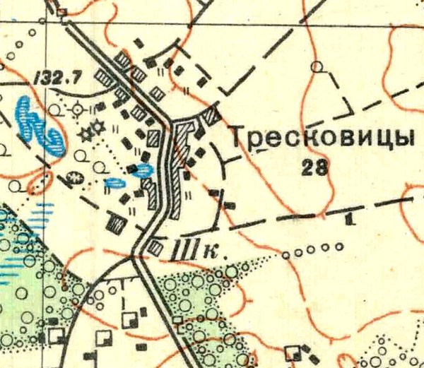 План деревни Тресковицы. 1933 год