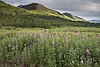 The drive from Anchorage passes spectacular scenery.