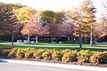 UIC East campus in autumn colors.JPG
