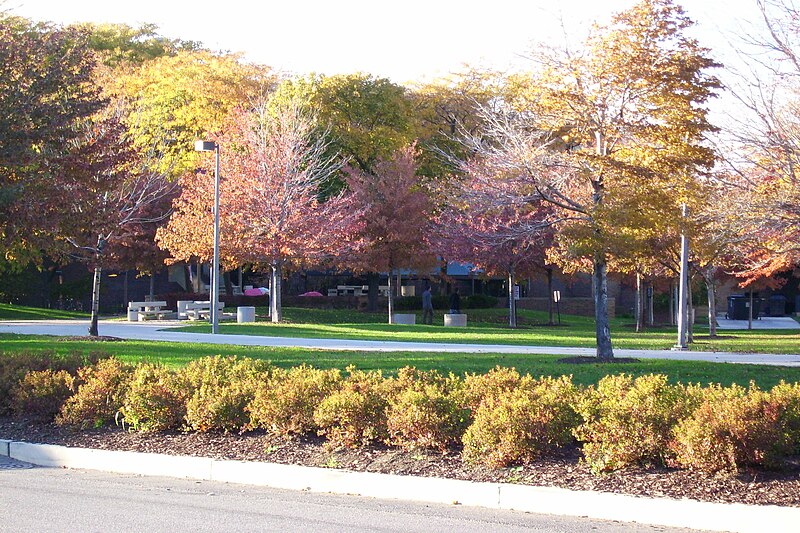 File:UIC East campus in autumn colors.JPG