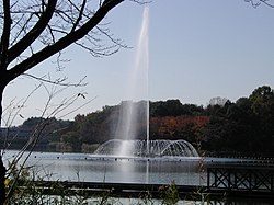 上野沼の噴水