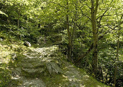 Sentiero - Sentiero escursionistico in Val Malvaglia