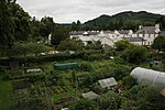 Thumbnail for File:Vegetable garden, Dunkeld - geograph.org.uk - 4626175.jpg