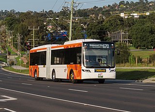 Ventura Bus Lines Bus company in Melbourne, Australia