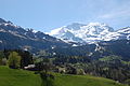View From Wengen, Bernese Oberland (2521803334).jpg