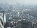 View from the Tokyo Metropolitan Government Buildings