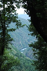 Nogueira de Ramuín - Vue