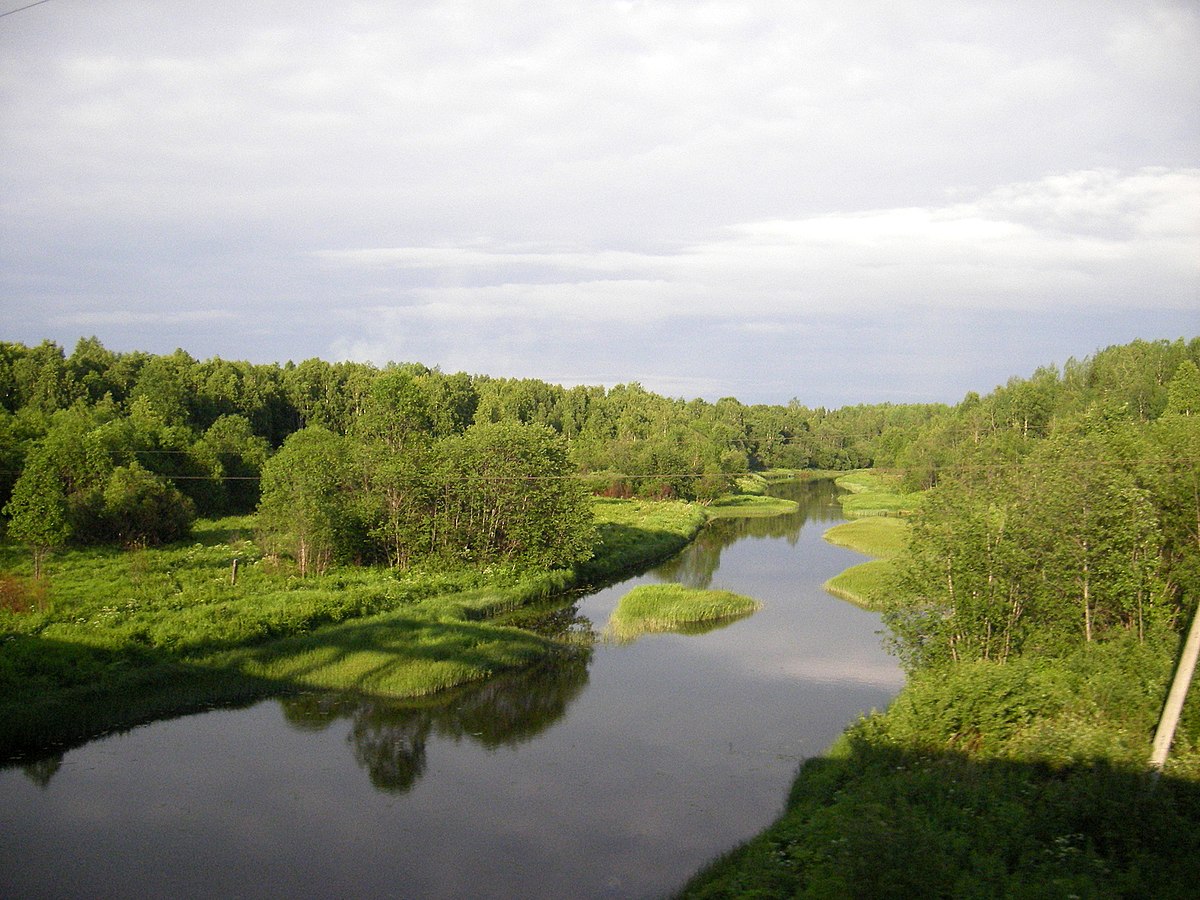 река воже