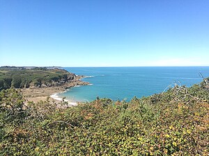 Vue sur la mer-Bretagne.jpg