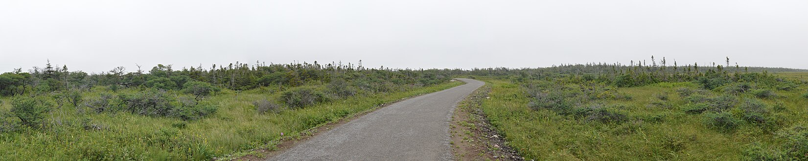 180° Panorama of Western Brook Pond Trail