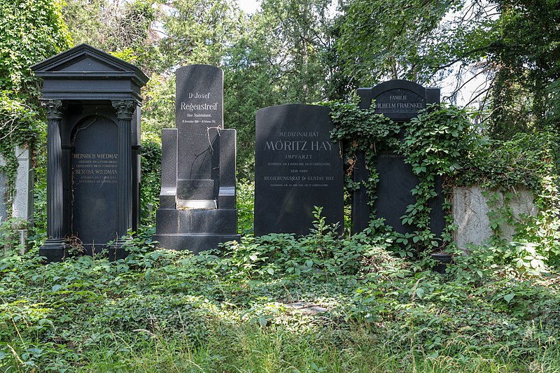 File:Wien, Zentralfriedhof, Alter Jüdischer Friedhof -- 2018 -- 3216.jpg