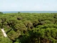 Fájl: Wiki-Video-pineta eraclea.ogv