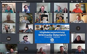 Wikimedia Österreich Mitgliederversammlung 2020 online.jpg