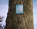 Deutsch: Schild Auch Wildtiere brauchen ihre Ruhe. Rübker Moor, Niedersachsen.