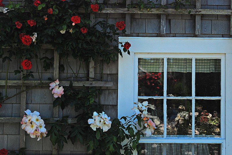 File:Windows in Sconset - panoramio.jpg