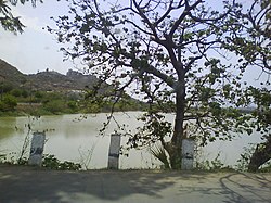 Yadagirigutta lake.JPG