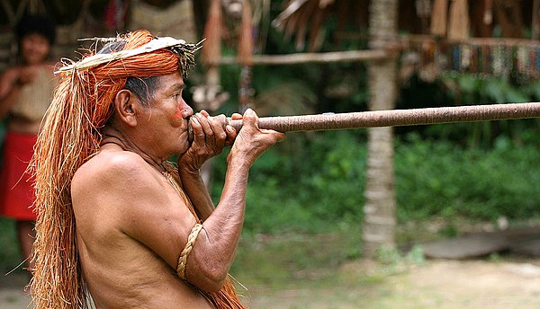 Demonstration of a blowgun by a Yagua hunter