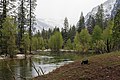 * Nomination Merced River, Yosemite Valley. --King of Hearts 03:21, 8 June 2020 (UTC) * Promotion  Support Good quality. --XRay 03:40, 8 June 2020 (UTC)