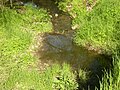 Zákolanský (Dolanský) potok ještě jako drobný potůček v Dolanech