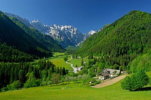 Tipični pejzaž Logarske doline