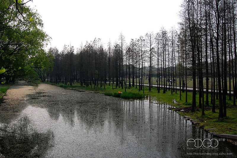 File:共青森林公园，Gongqing Forest Park - panoramio.jpg