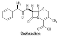 セファラジン