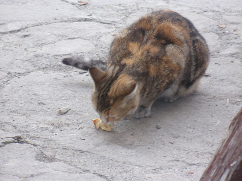 File:-Safranbolu 58.JPG