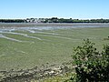 La rive gauche de la ria du Blavet vue depuis le sentier littoral à hauteur de Saint-Sterlin en aval du pont du Bonhomme ; à l'arrière-plan Lanester.