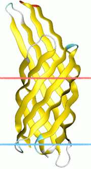 Thumbnail for Virulence-related outer membrane protein family