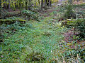 Kleinkastell Robern am Odenwaldlimes