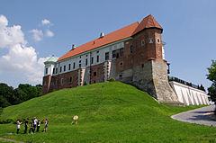 20130702 Sandomierz zamek 0778.jpg