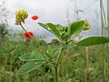 Vorschaubild der Version vom 09:20, 15. Jun. 2016