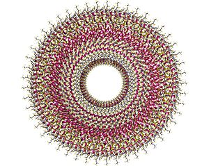 f(x)= .... Coronavirus Covid-19 - Page 7 300px-2tmv