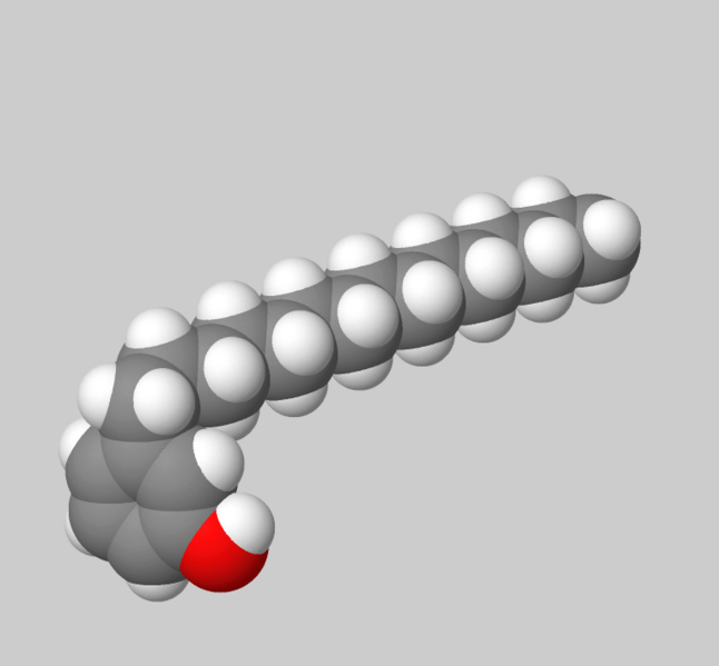 File:3-pentadécylphénol modèle de Van Der Vaals sphères.png