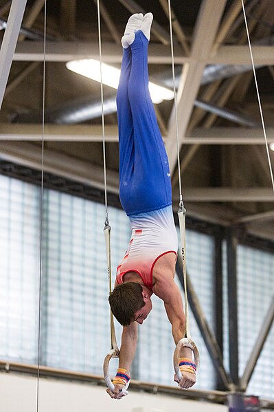 File:5th Budapest Cup 2019-05-26 Borna Matić (Norman Seibert) - 02394.jpg