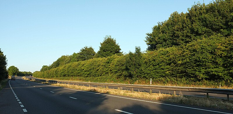 File:A303 near Compton Pauncefoot - geograph.org.uk - 5871687.jpg