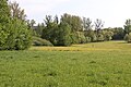 * Nomination Aschaffenburg, protected landscape area 7, Röderbachtal --KaiBorgeest 21:05, 31 May 2023 (UTC) * Promotion  Support Good quality. --XRay 04:20, 1 June 2023 (UTC)