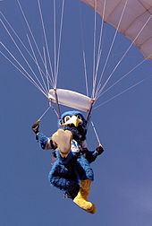United States Air Force Academy mascot AFA The Bird chute.jpg
