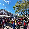 ATO EM FLORIANÓPOLIS - FORA BOLSONARO E MOURÃO 29.05.2021 -04.jpg