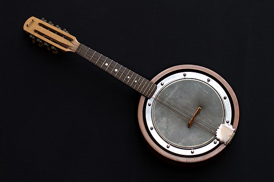 Mandolin-banjo