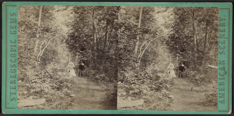 File:A stroll through the woods at Lake George, N.Y, from Robert N. Dennis collection of stereoscopic views.png