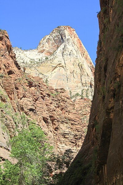 File:A view in Zion National Park.jpg