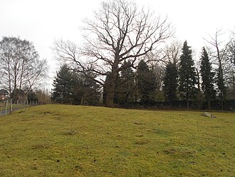 The barrow survives on the south side of the road as a low mound with small sarsens Addington Long Barrow, south side of road 02.jpg