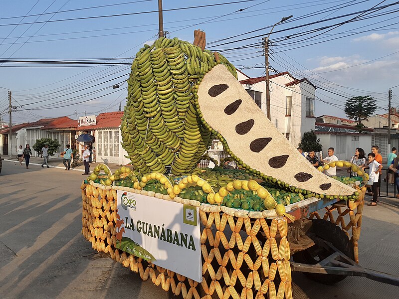 ਤਸਵੀਰ:Agricultura guanabana.jpg